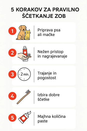 Domača rutina za čiščenje zob psa ali mačke