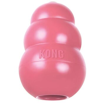 https://www.charly.si/uploads/products/67489333-88cf-48ec-af8a-707bd37b1fbb/small/kong-puppy---igraca-za-pasje-mladice---roza.jpg