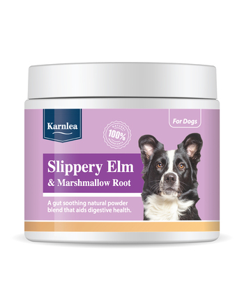 https://www.charly.si/uploads/products/b7222af5-26a1-4083-b8f4-0d44bed7e1ff/small/karnlea-slippery-elm-a-marshmallow-root-powder---dopolnilo-za-podporo-prebavi.jpg