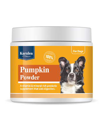 https://www.charly.si/uploads/products/f0e5f588-c337-4d79-9d6a-d63c44548808/small/karnlea-pumpkin-powder---dopolnilo-za-podporo-prebavi.jpg